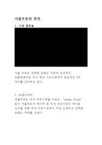 서울 우유의 유통 전략 보고서-10