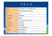HJC의 성공사례, 마케팅전략, 성공전략, 경영전략분석, 기업소개 및 역사와 특징소개, 경영전략분석, 성공사례, 성공전략, 마케팅전략, STP전략, SWOT분석, 4P전략, 개선점-2