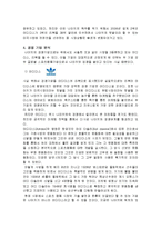 나이키(NIKE) 성공사례, 마케팅전략, 성공전략, 경영전략분석, SWOT분석 기업소개 및 역사와 특징소개, 경영전략분석, 성공사례, 성공전략, 마케팅전략, STP전략, SWOT분석, 4P전략, 개선점-6