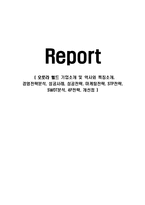 오로라 월드 기업소개 및 역사와 특징소개, 경영전략분석, 성공사례, 성공전략, 마케팅전략, STP전략, SWOT분석, 4P전략, 개선점-1