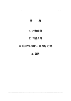 오로라 월드 기업소개 및 역사와 특징소개, 경영전략분석, 성공사례, 성공전략, 마케팅전략, STP전략, SWOT분석, 4P전략, 개선점-2