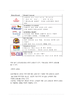 오로라 월드 기업소개 및 역사와 특징소개, 경영전략분석, 성공사례, 성공전략, 마케팅전략, STP전략, SWOT분석, 4P전략, 개선점-8