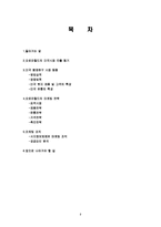 오로라 월드 미국시장 진출사례 성공사례, 마케팅전략, 성공전략, 경영전략분석, STP전략, SWOT분석 및 성공전략, 경영전략, 마케팅 전략 조사분석-2