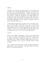 오로라 월드 미국시장 진출사례 성공사례, 마케팅전략, 성공전략, 경영전략분석, STP전략, SWOT분석 및 성공전략, 경영전략, 마케팅 전략 조사분석-10