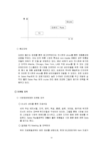 오로라 월드 미국시장 진출사례 성공사례, 마케팅전략, 성공전략, 경영전략분석, STP전략, SWOT분석 및 성공전략, 경영전략, 마케팅 전략 조사분석-11