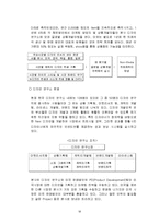 오로라 월드 미국시장 진출사례 성공사례, 마케팅전략, 성공전략, 경영전략분석, STP전략, SWOT분석 및 성공전략, 경영전략, 마케팅 전략 조사분석-12
