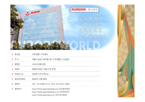 오로라 월드의 성공사례, 마케팅전략, 성공전략, 경영전략분석, STP전략, SWOT분석 기업소개 및 역사와 특징소개, 경영전략분석, 성공사례, 성공전략, 마케팅전략, STP전략, SWOT분석, 4P전략, 개선점-2