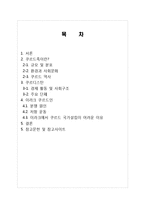 쿠르디스탄 디아스포라(Kurdistan diaspora) 역사와 규모, 특징, 이주요인, 해외이주정책, 언어, 주민, 용어 경제적 효과, 경영-2