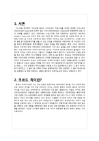 쿠르디스탄 디아스포라(Kurdistan diaspora) 역사와 규모, 특징, 이주요인, 해외이주정책, 언어, 주민, 용어 경제적 효과, 경영-3
