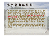 독서감상문 PPT 레포트-10