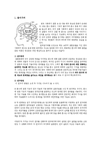 [결혼과 가족] 혼수의 실태와 문제점 및 해결방안-2