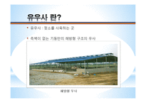 [농업학] 축산시설, 우사의 설치조건, 환경과 구성 조사-3