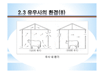 [농업학] 축산시설, 우사의 설치조건, 환경과 구성 조사-13