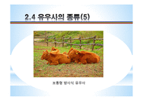 [농업학] 축산시설, 우사의 설치조건, 환경과 구성 조사-19