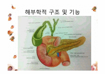 [간호학] 임신성 당뇨(G-DM) 진단과 간호중재-5