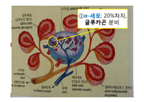 [간호학] 임신성 당뇨(G-DM) 진단과 간호중재-7