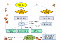 [간호학] 임신성 당뇨(G-DM) 진단과 간호중재-10