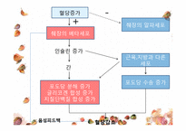 [간호학] 임신성 당뇨(G-DM) 진단과 간호중재-11