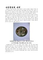 [한국미술] 나전칠기의 역사와 근현대의 나전칠기-3