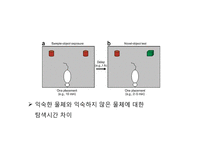 [행동신경학] 물체인식(object recognition) 실험-2