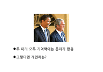 [행동신경학] 물체인식(object recognition) 실험-9