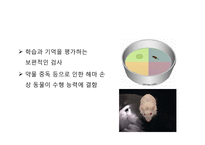 [행동신경학] 물체인식(object recognition) 실험-12