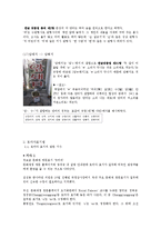 [국문학] 어문규범 위반 사례 분석-9
