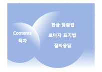 [국문학] 어문규범 위반 사례 분석-2