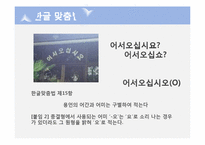 [국문학] 어문규범 위반 사례 분석-8