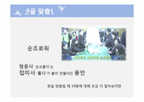 [국문학] 어문규범 위반 사례 분석-9