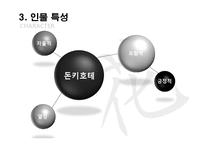 돈키호테의 작품 분석 및 패러디 작품 조사-13