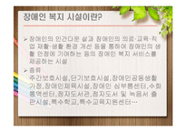 [사회복지] 장애인 복지시설의 현황과 개선책-3