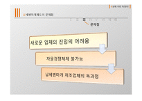 납세병마개 문제점과 해결방안 제안-9
