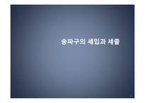 [행정학] 송파구의 세입과 세출-1