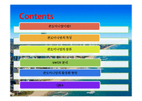 [여가산업론] 콘도미니엄 시장 현황과 활성화 방안-2