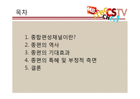 종합편성채널의 장단점 분석-2