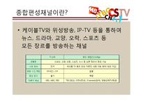 종합편성채널의 장단점 분석-4