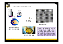 토륨 원자력 발전 기술과 미래-10
