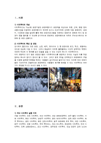 [경영학] 시티투어에 대한 만족도와 문제점 및 개선방안-3