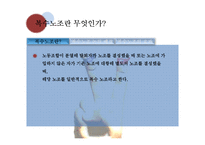 [노사관계] 복수노조, 노조 조직화에 대하여-6