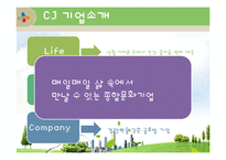 [인사관리] CJ그룹의 인적자원관리-5