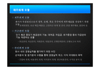 [경영학] ERP의 현황 및 발전 방향-19