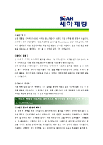 [세아제강 - 공채 최종합격]자기소개서-2