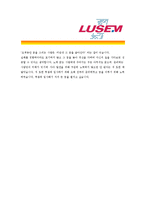 [루셈 - 공채 최종합격] 자기소개서-4