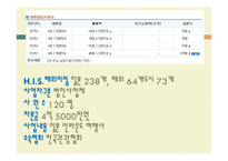 HIS코리아와 체스투어즈 비교분석 및 기업소개와 특징,성공사례, 해외진출 성공전략, 마케팅전략, STP전략, SWOT분석, 4P전략, 개선점-5