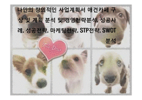나만의 창의적인 사업계획서 애견카페 구상 및 계획 분석 및 경영전략분석, 성공사례, 성공전략, 마케팅전략, STP전략, SWOT분석-1
