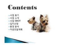 나만의 창의적인 사업계획서 애견카페 구상 및 계획 분석 및 경영전략분석, 성공사례, 성공전략, 마케팅전략, STP전략, SWOT분석-2
