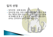 나만의 창의적인 사업계획서 애견카페 구상 및 계획 분석 및 경영전략분석, 성공사례, 성공전략, 마케팅전략, STP전략, SWOT분석-6
