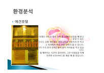 나만의 창의적인 사업계획서 애견카페 구상 및 계획 분석 및 경영전략분석, 성공사례, 성공전략, 마케팅전략, STP전략, SWOT분석-10
