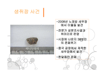 농심 새우깡 레포트-5